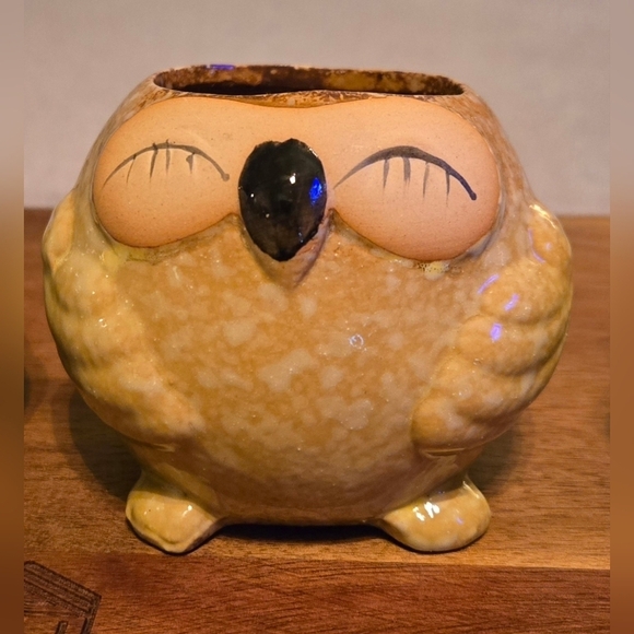 NWOT | Adorable Ceramic Owl Succulent Planter Pots | Set Of 4 | Drainage Holes - Picture 14 of 16